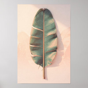Banana Leaf Botanical Poster