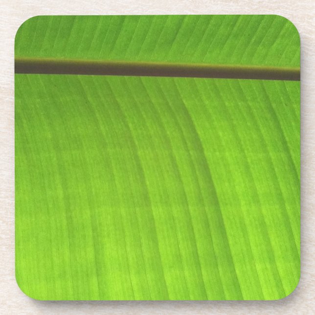 Banana Leaf Close-Up Coaster (Front)