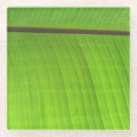 Banana Leaf Close-Up