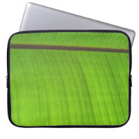 Banana Leaf Close-Up