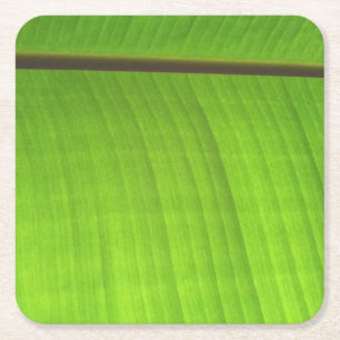 Banana Leaf Close-Up Square Paper Coaster