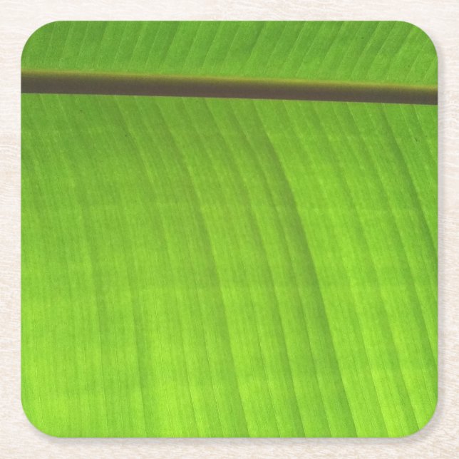 Banana Leaf Close-Up Square Paper Coaster (Front)
