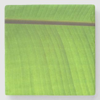 Banana Leaf Close-Up Stone Coaster