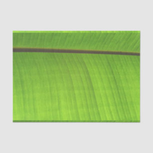 Banana Leaf Close-Up Tissue Paper