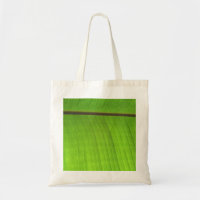 Banana Leaf Close-Up