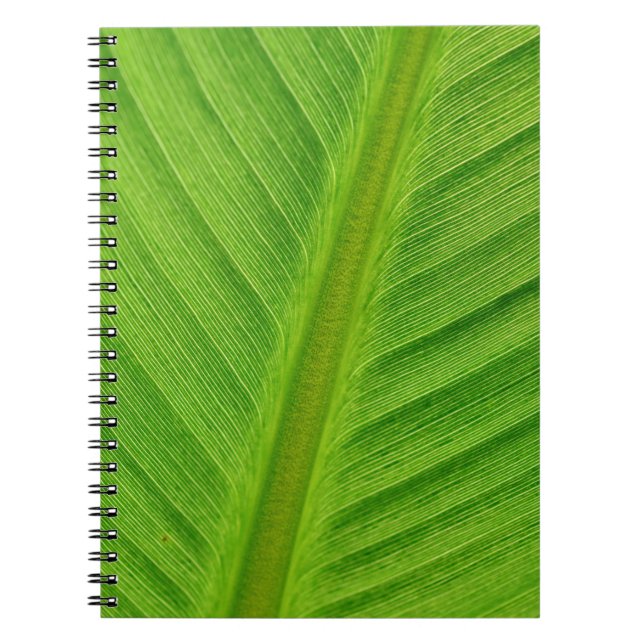 Banana leaf leaf banana fibres notebook (Front)