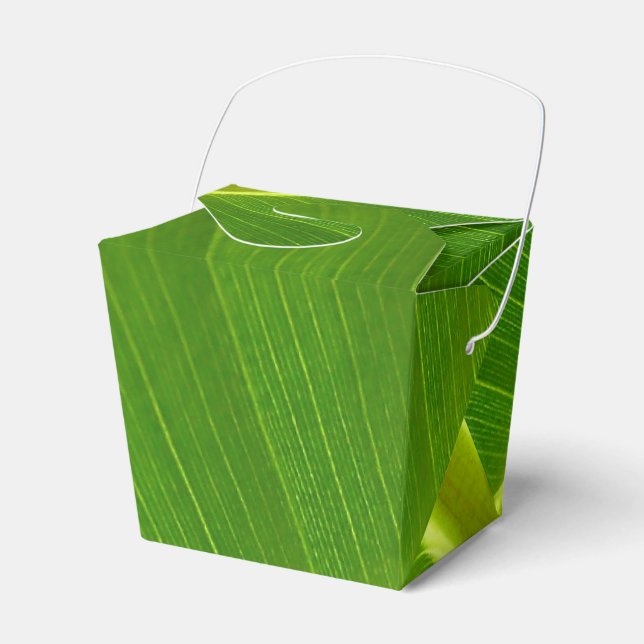 Banana Leaf Macro Favour Box (Front Side)