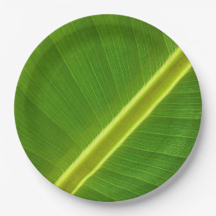 Banana Leaf Macro Paper Plate