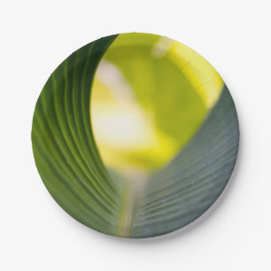 Banana Leaf Paper Plate