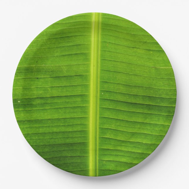 Banana leaf paper plate (Front)
