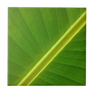 Banana Leaf Tile