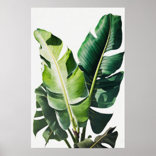 Banana Leaves Art Print Poster
