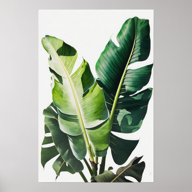 Banana Leaves Art Print Poster (Front)