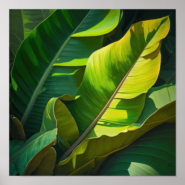 Banana Leaves Art Print Poster (Front)