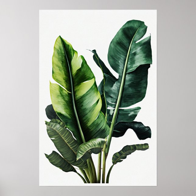 Banana Leaves Art Print Poster (Front)