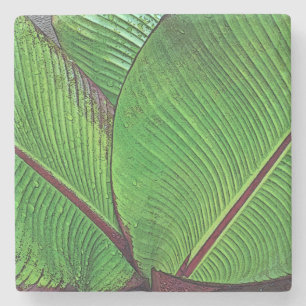 BANANA LEAVES DETAIL STONE COASTER