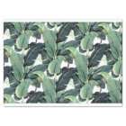 Banana Leaves Palm Tropical 10lb Tissue Paper