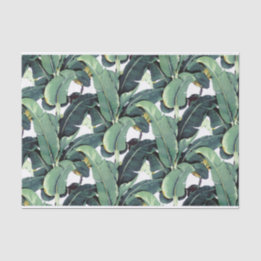 Banana Leaves Palm Tropical 10lb Tissue Paper