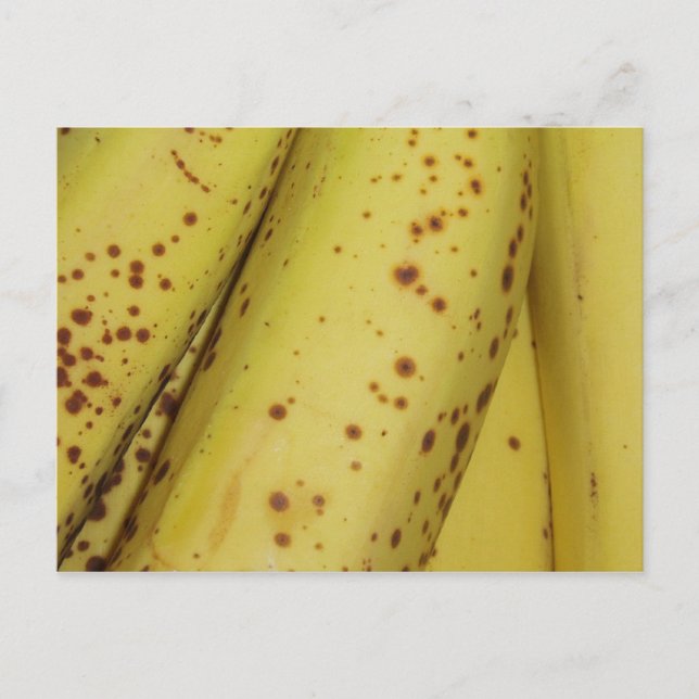 Banana Postcard (Front)