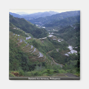 Banana rice terraces, Philippines Magnet