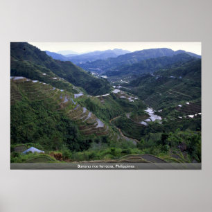 Banana rice terraces, Philippines Poster