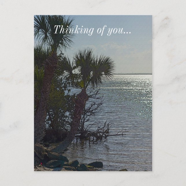Banana River Palm Trees Painterly Postcard (Front)