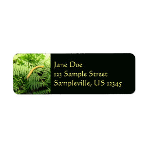 Banana Slug on Ferns I Return Address Label
