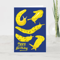 Banana Slugs Yellow and Royal Blue Birthday