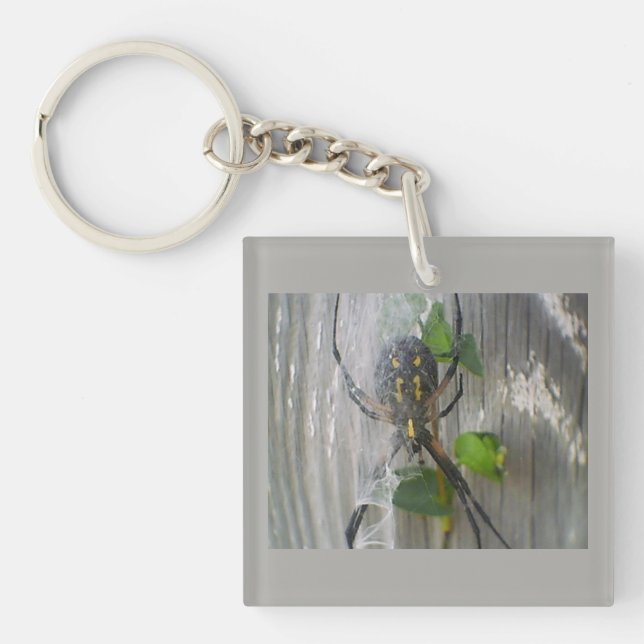 Banana Spider Key Ring (Front)