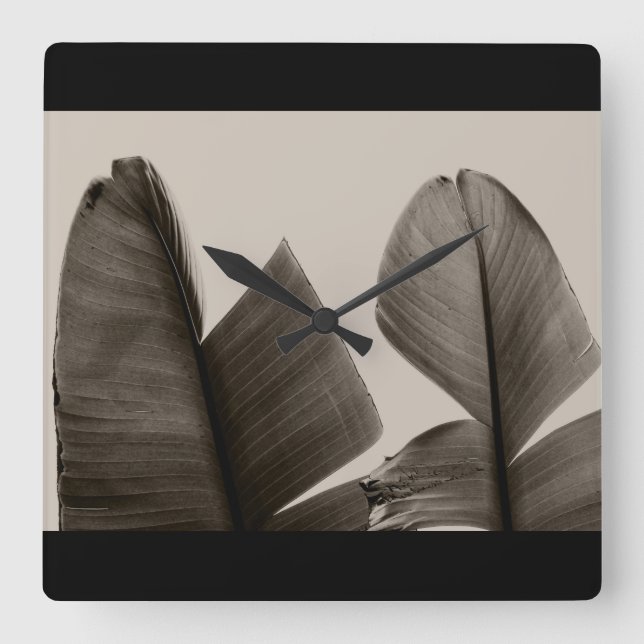 Banana Tree Leaves in Sepia Square Wall Clock (Front)