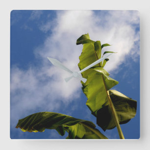 Banana Tree Leaves Square Wall Clock