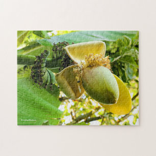 Banana Tree with Banana Fruits Jigsaw Puzzle