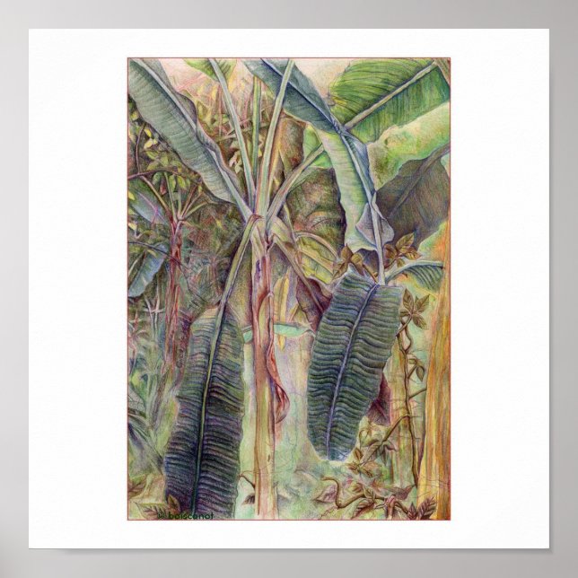 Banana Trees © 2010 Poster (Front)