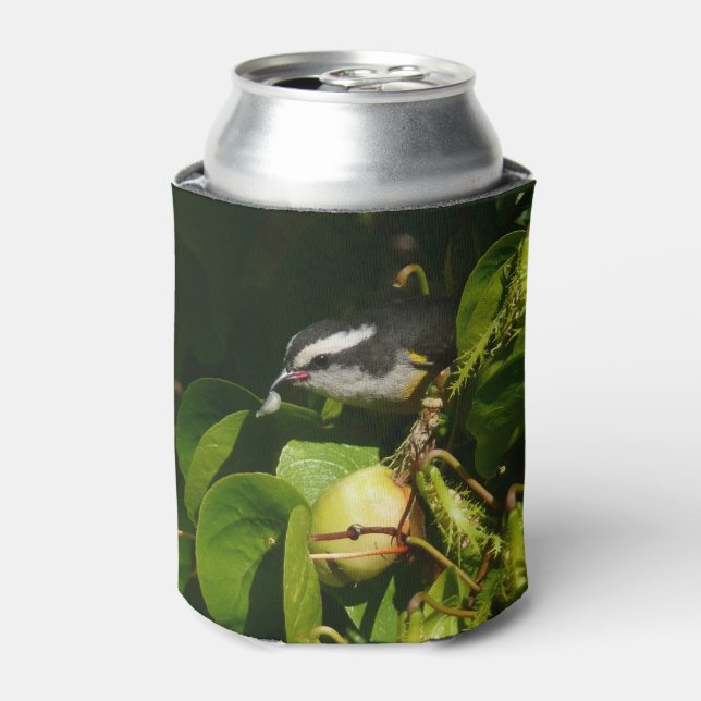 Bananaquit Bird Eating Tropical Photography Can Cooler (Can Front)