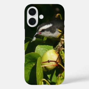 Bananaquit Bird Eating Tropical Photography iPhone 16 Case