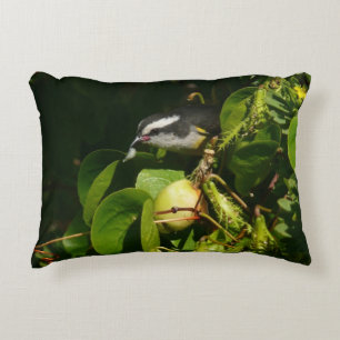 Bananaquit Bird Eating Tropical Photography Decorative Cushion