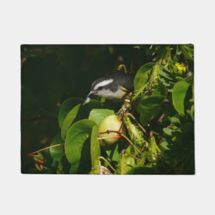 Bananaquit Bird Eating Tropical Photography Doormat