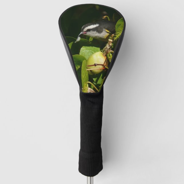 Bananaquit Bird Eating Tropical Photography Golf Head Cover (Front)