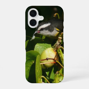 Bananaquit Bird Eating Tropical Photography iPhone 16 Case