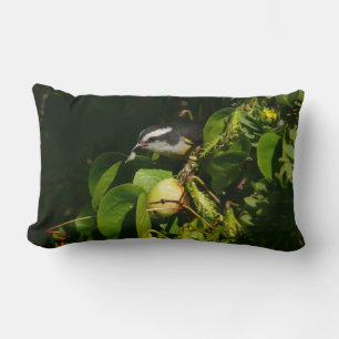 Bananaquit Bird Eating Tropical Photography Lumbar Cushion