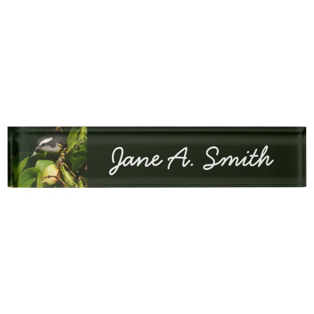 Bananaquit Bird Eating Tropical Photography Nameplate (Front)