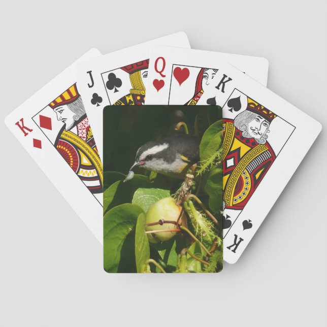Bananaquit Bird Eating Tropical Photography Playing Cards (Back)