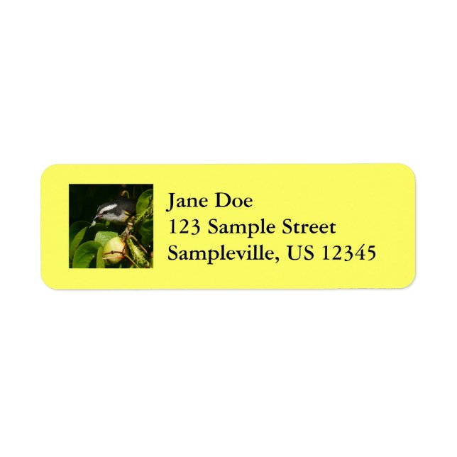 Bananaquit Bird Eating Tropical Photography Return Address Label (Front)