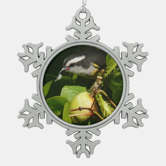 Bananaquit Bird Eating Tropical Photography Snowflake Pewter Christmas Ornament (Front)