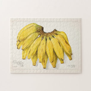 Bananas (Musa) Fruit Watercolor Painting Jigsaw Puzzle