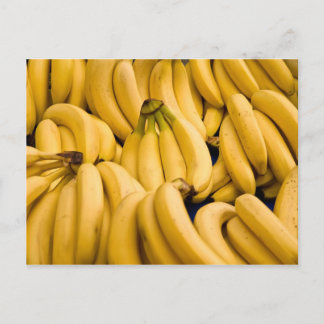 Bananas Postcard