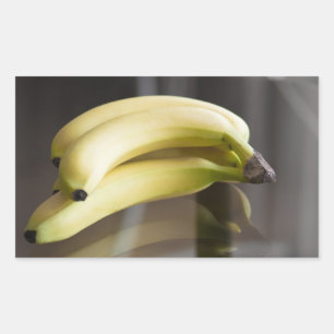 Bananas Rectangular Sticker