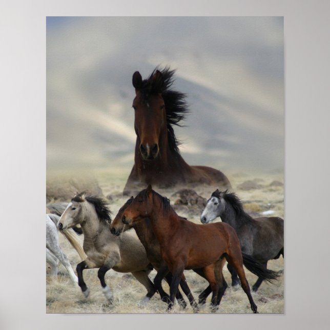 Band Of One Poster (Front)