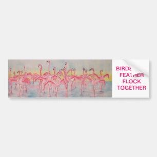 BAND ON THE RUN BUMPER STICKER