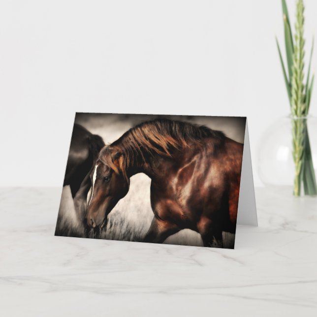 Band Stallion Greeting Card (Front)